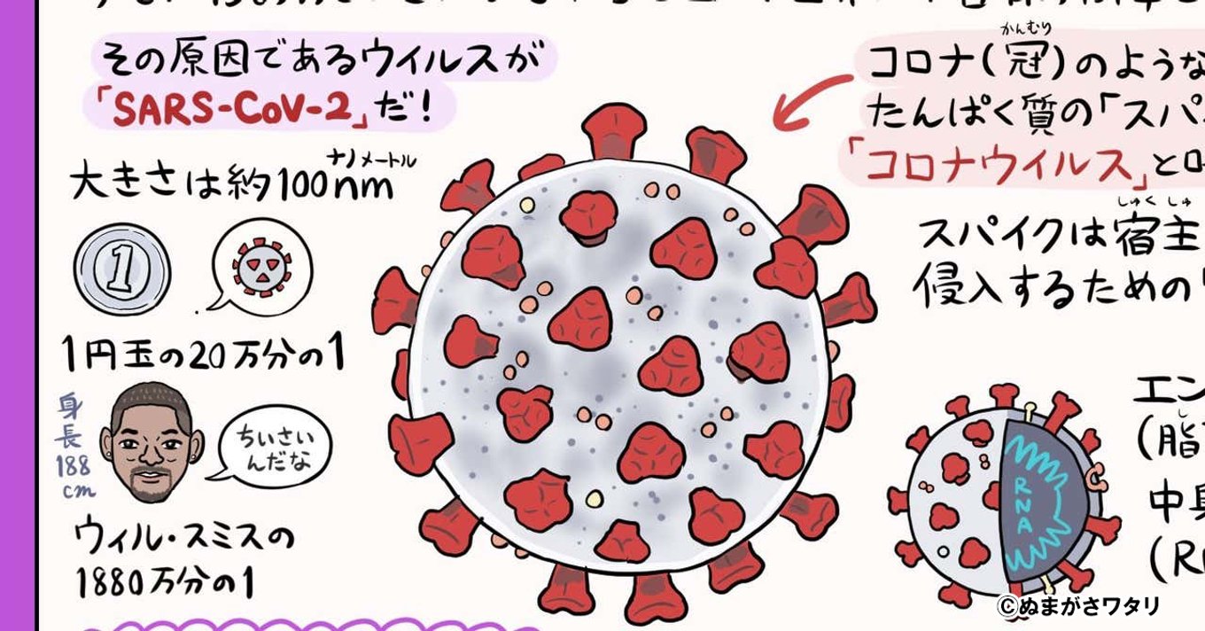 よく判る 新型コロナウイルス徹底図解 ぬまがさワタリ先生からのアドバイス 敵に勝つには敵を知れ なまけてれば人類が救えるぞ アル