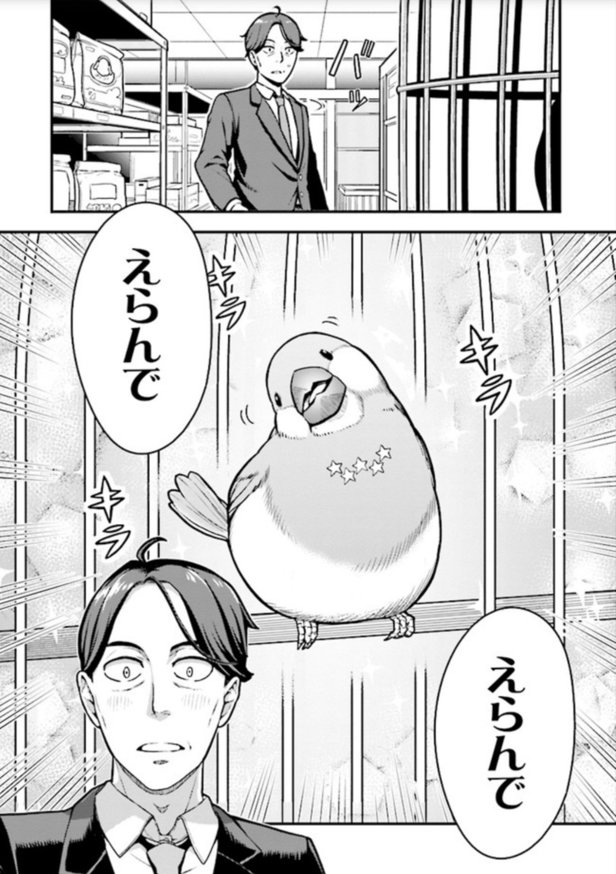 佐々木とピーちゃん かわいい文鳥は元賢者 異世界に魔法に異能力に魔法少女 大注目の世界観クロスオーバー物語 アル