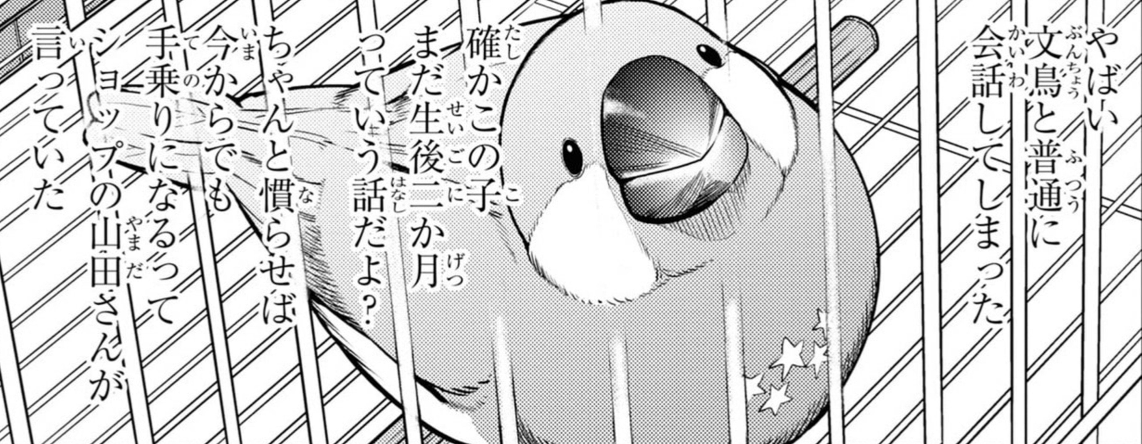 佐々木とピーちゃん 最新刊1巻発売 かわいい文鳥は異世界賢者 はじまる異世界 現代行ったり来たり生活 アル