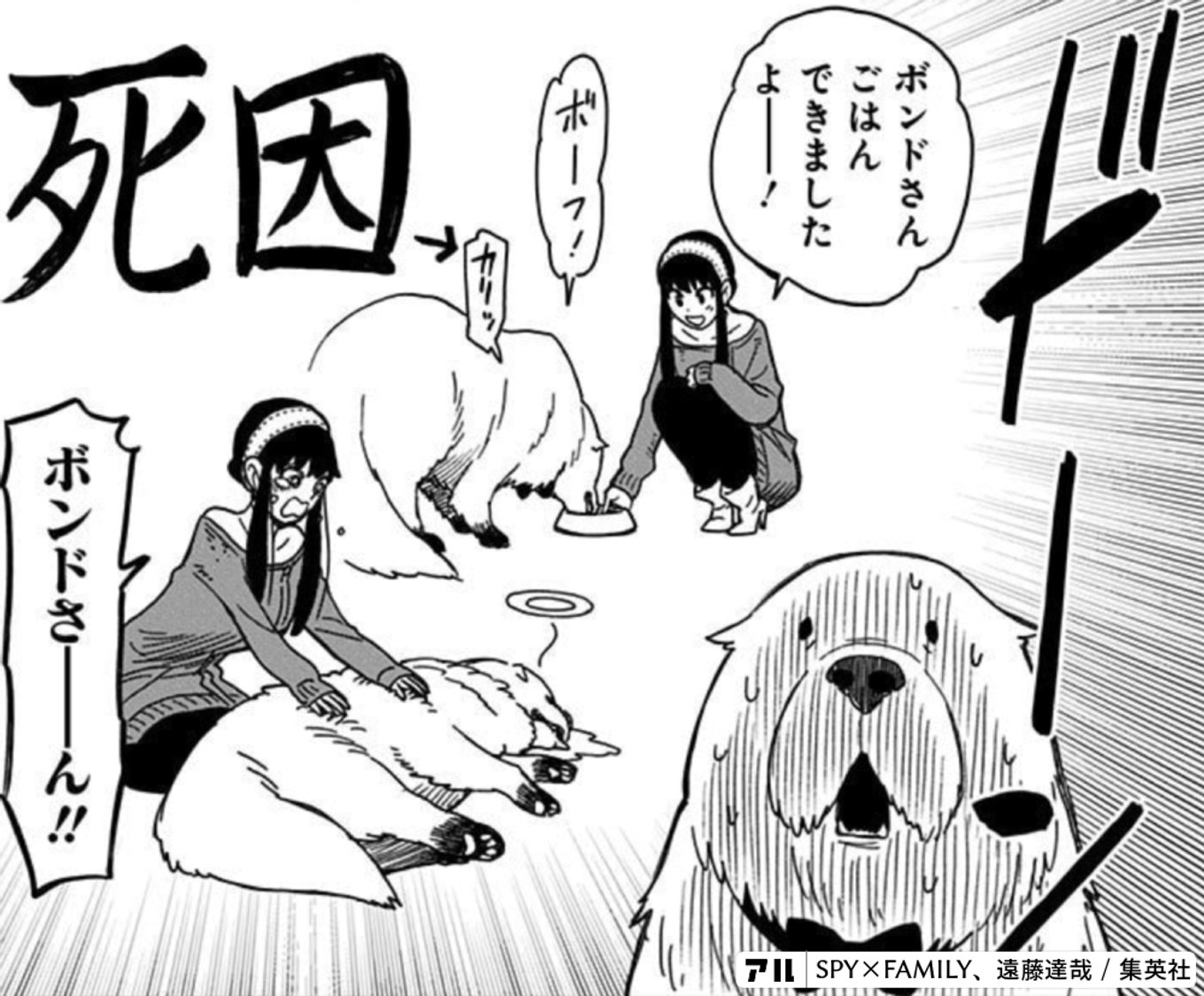 SPY×FAMILY