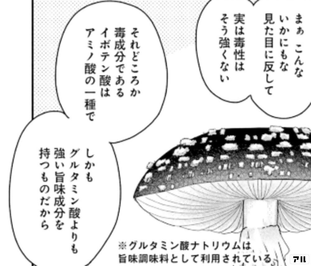 きのこ きのこ これは幾何学模様 じゃなくてしいたけ 三枝教授のすばらしき菌類学教室 アル