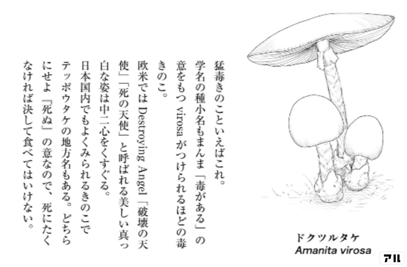 三枝教授のすばらしき菌類学教室