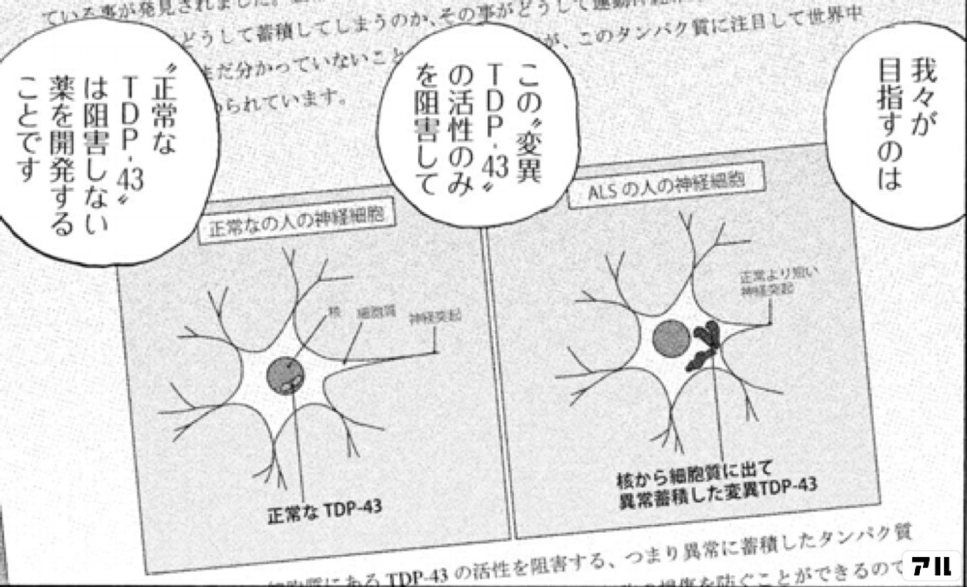 宇宙兄弟