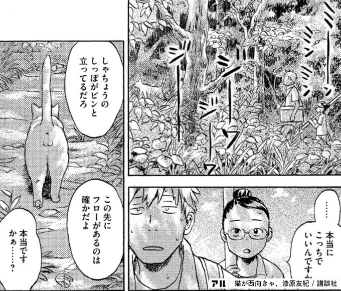 以上現場からでした 猫が西向きゃ アル