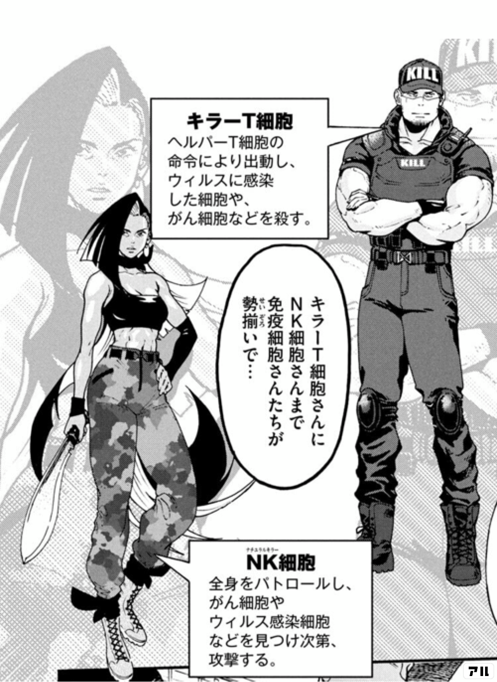 精原細胞オスの生殖細胞である 精子へと成長する細胞 はたらく細胞black アル