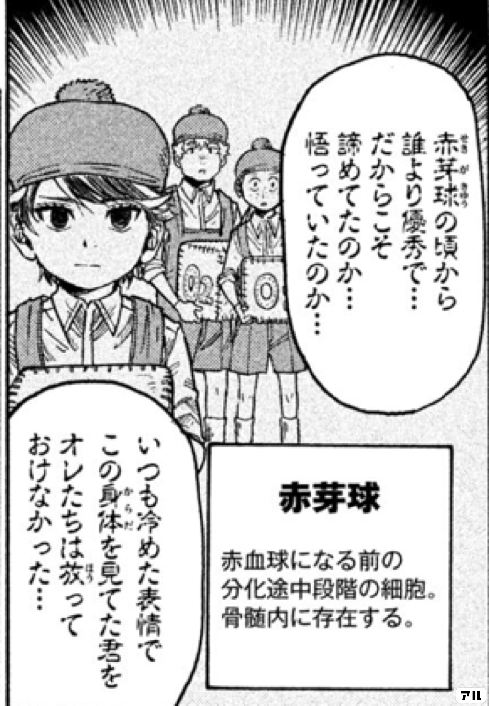 赤芽球赤血球になる前の分化途中段階の細胞 骨髄内に存在する 赤芽球の頃から誰より優秀で だからこそ誘めてたのか 悟っていたのか いつも冷めた 表情でこの身体を見てた君をオレたちは放っておけなかった はたらく細胞black アル