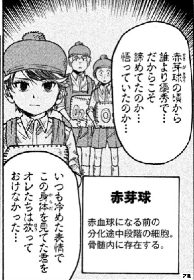 赤芽球赤血球になる前の分化途中段階の細胞 骨髄内に存在する 赤芽球の頃から誰より優秀で だからこそ誘めてたのか 悟っていたのか いつも冷めた表情でこの身体を見てた君をオレたちは放っておけなかった はたらく細胞black アル