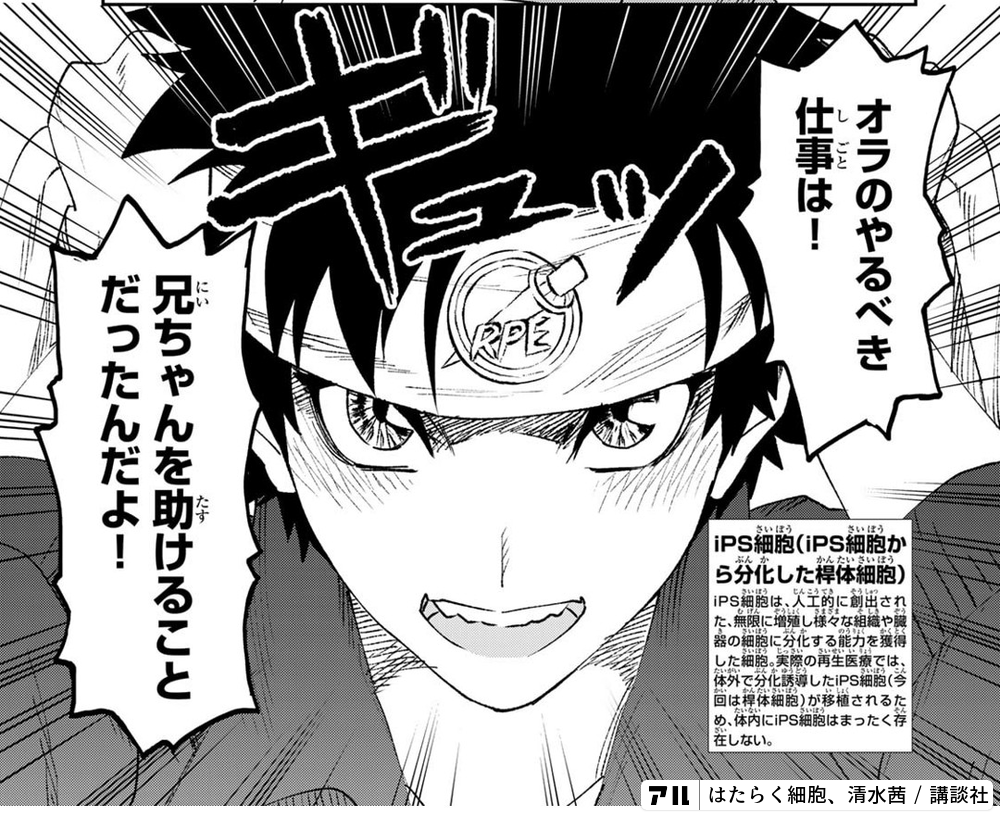 オラのやるべき仕事は 兄ちゃんを助けることだったんだよ はたらく細胞 アル