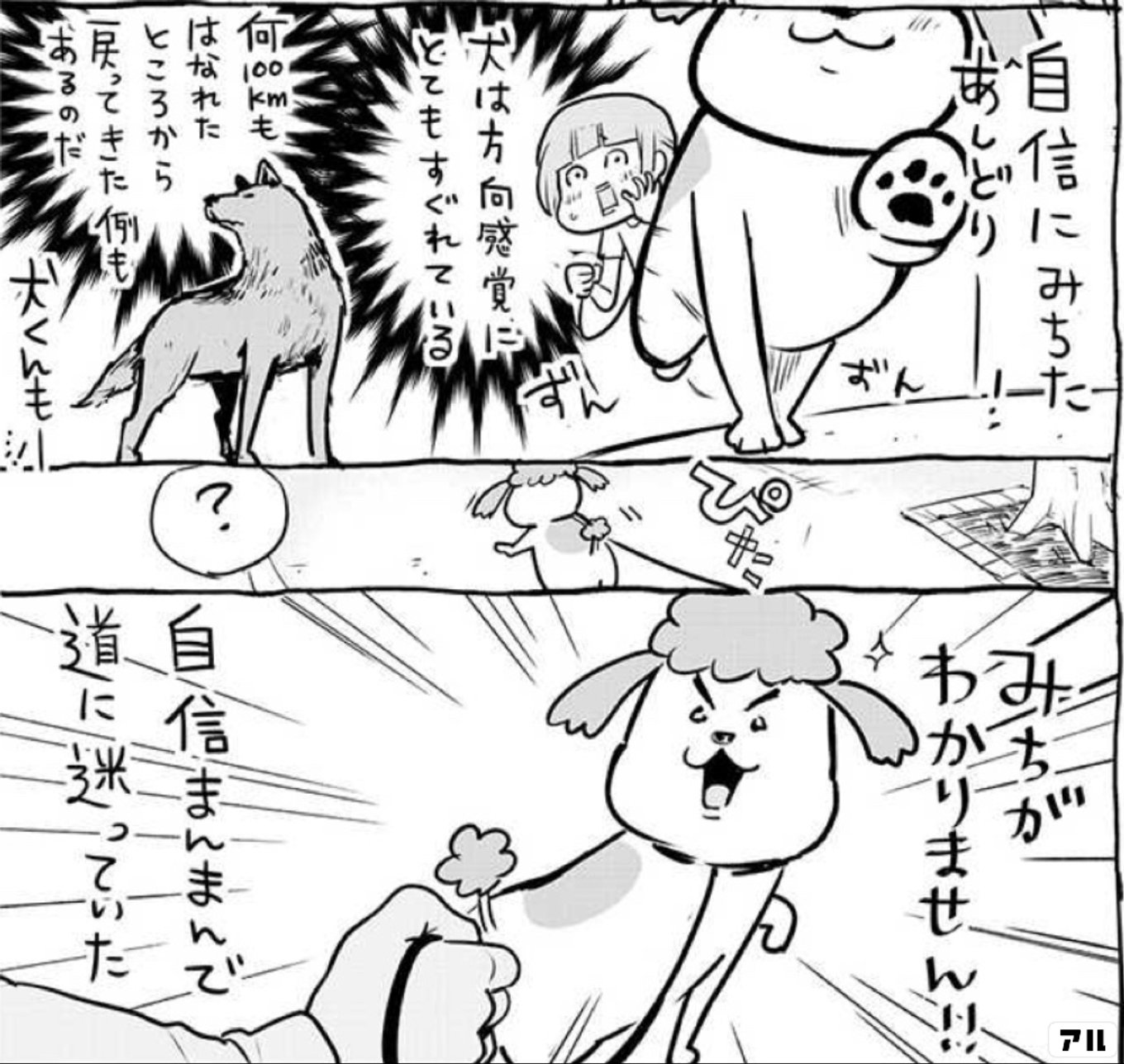 犬と猫どっちも飼ってると毎日たのしい