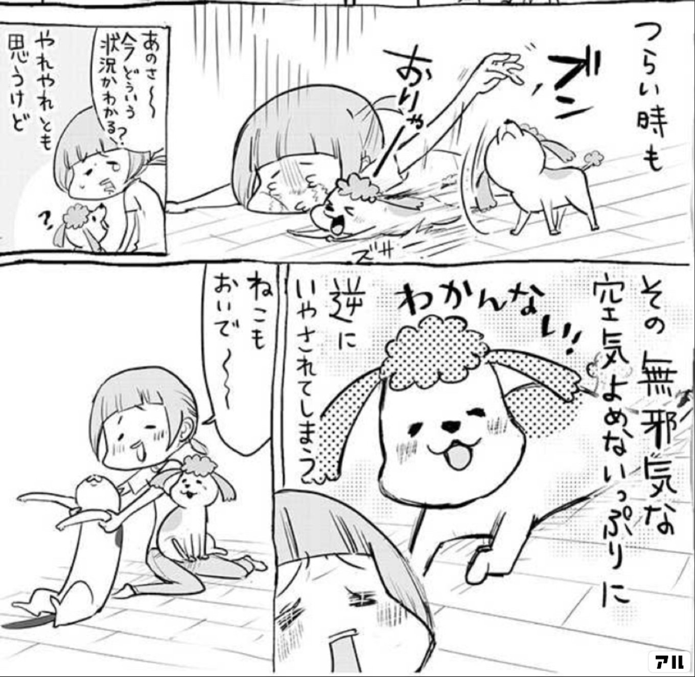 犬と猫どっちも飼ってると毎日たのしい