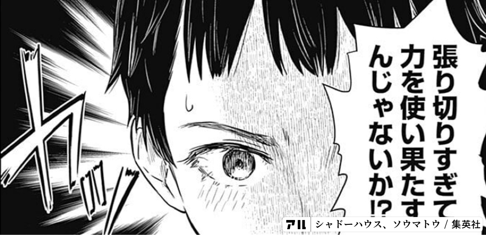 張り切りすぎて力を使い果たすんじゃないか シャドーハウス アル