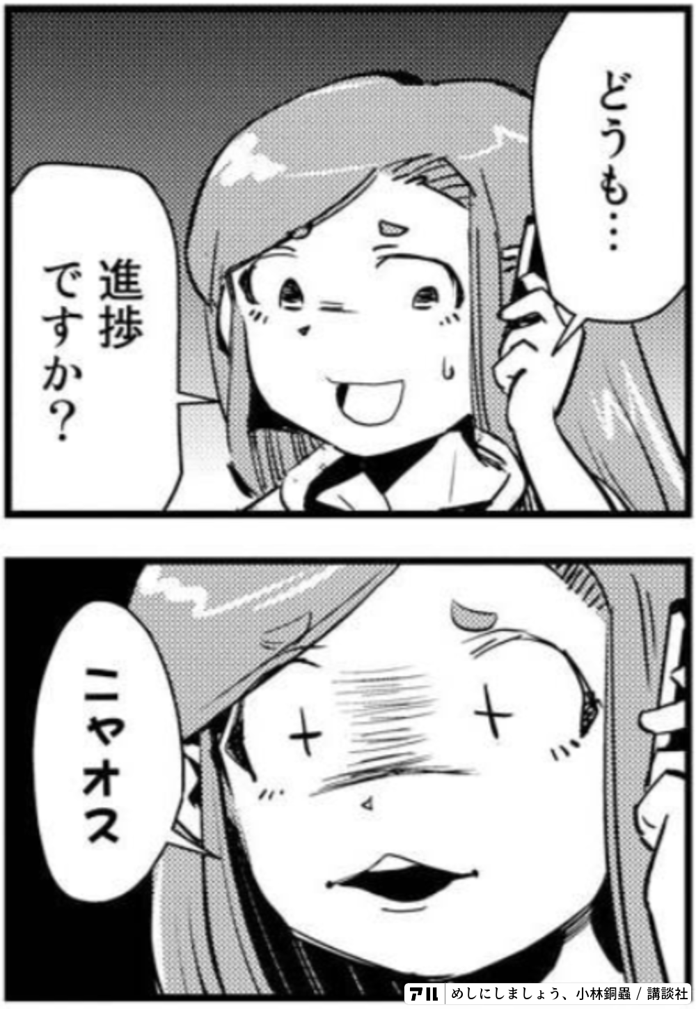 どうも 進捗ですか ニャオス めしにしましょう アル