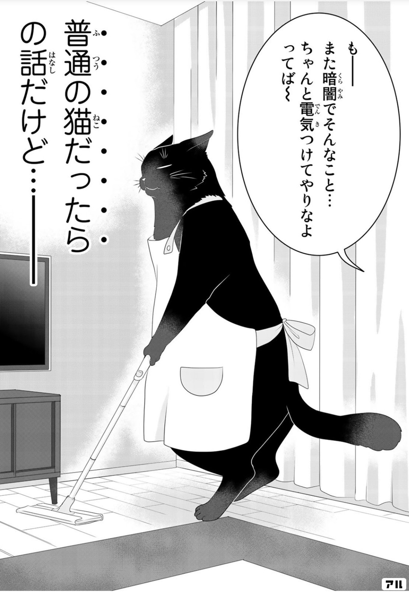 デキる猫は今日も憂鬱