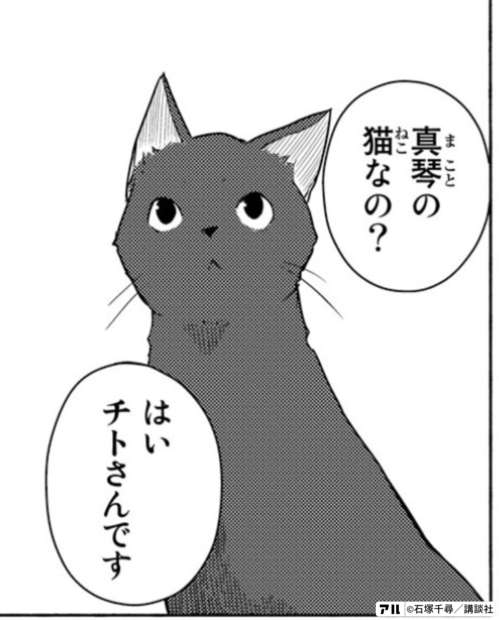 真琴の猫なの チトさんです ふらいんぐうぃっち アル