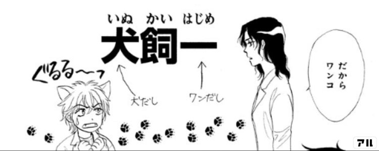 無料あり 屍活師 女王の法医学 仲間由紀恵と松村北斗が女王とワンコのバディになってドラマ化決定 アル