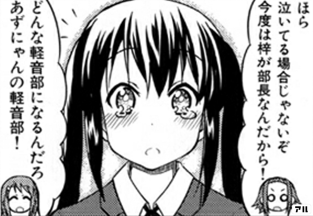 ほら泣いてる場合じゃないぞ 今度は梓が部長なんだから どんな軽音部になるんだろ あずにゃんの軽音部 けいおん アル