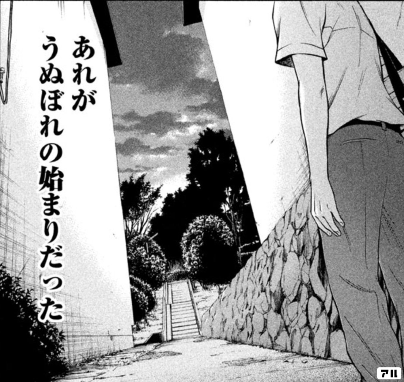 モンクロチョウ