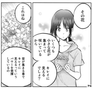 はねバド!