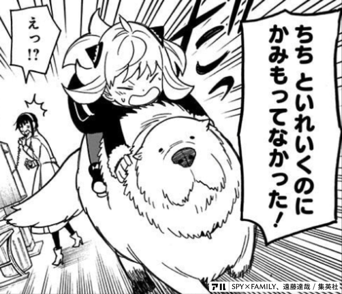 SPY×FAMILY