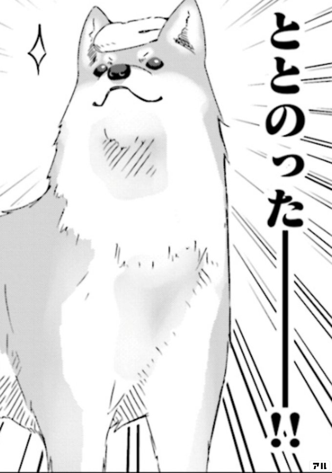 犬用シュラフ 15 000犬用テント 10 000犬用コット 10 000ちくわ用キャンプセット T 35 000価格は全然かわいくねぇ ゆるキャン アル