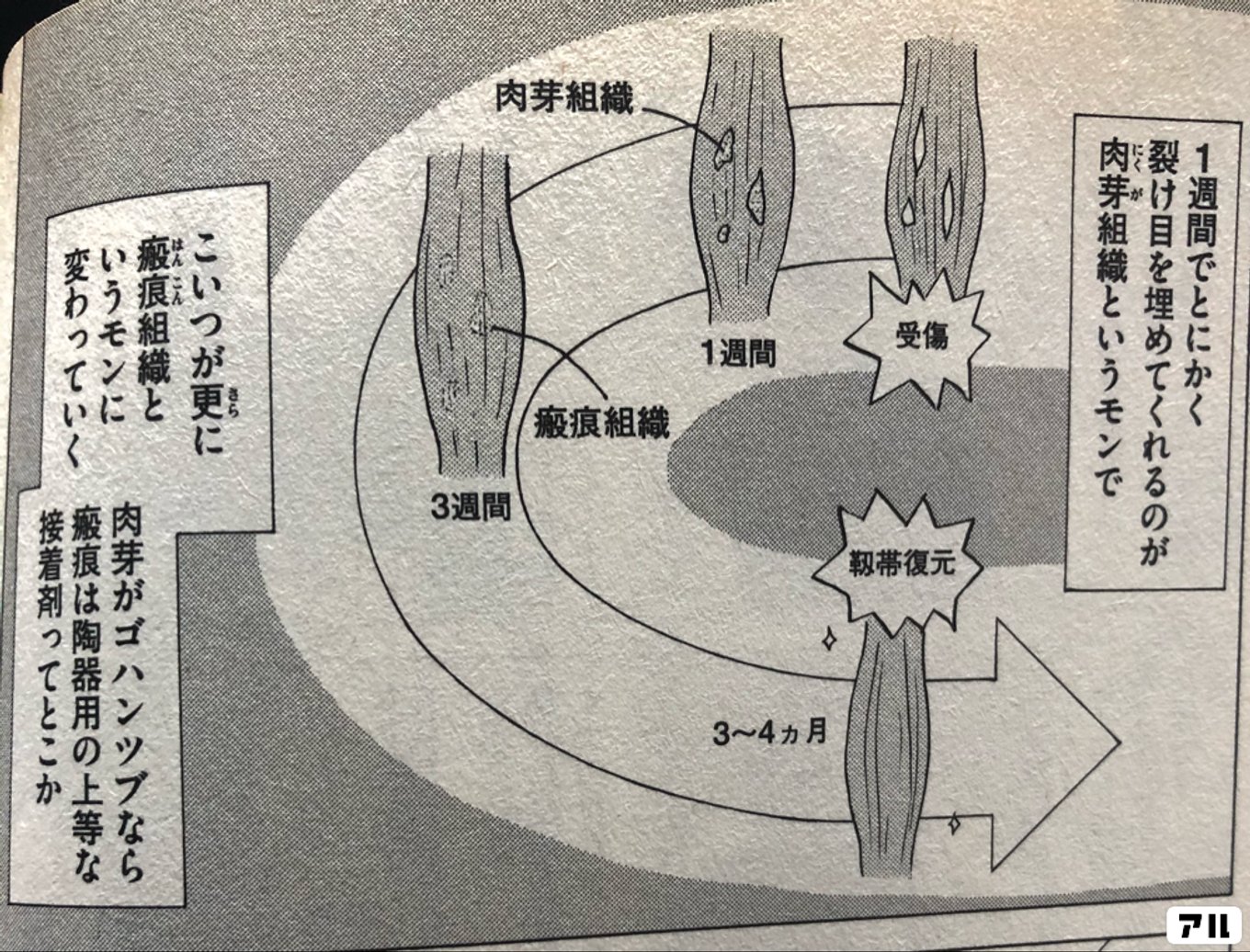 おおきく振りかぶって