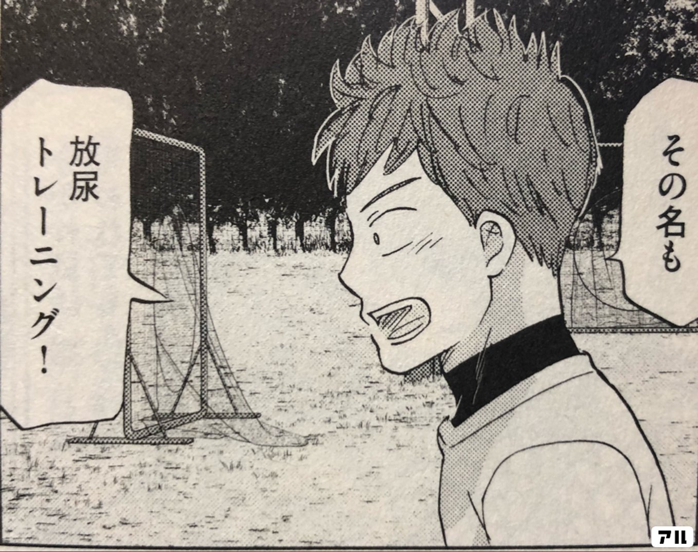 おおきく振りかぶって