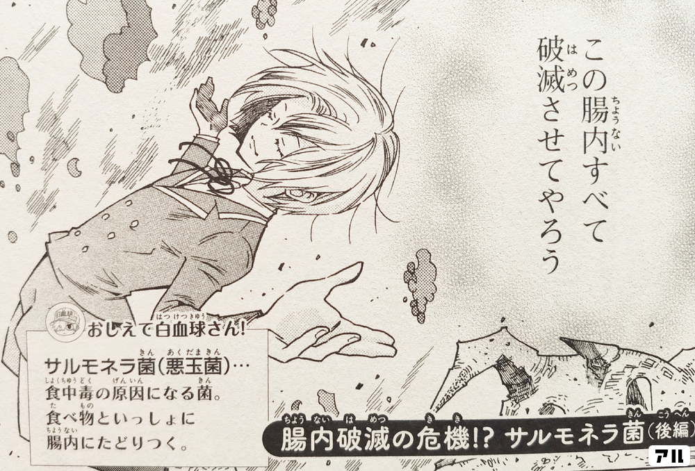 はたらく細菌 細胞 の作品情報 単行本情報 アル