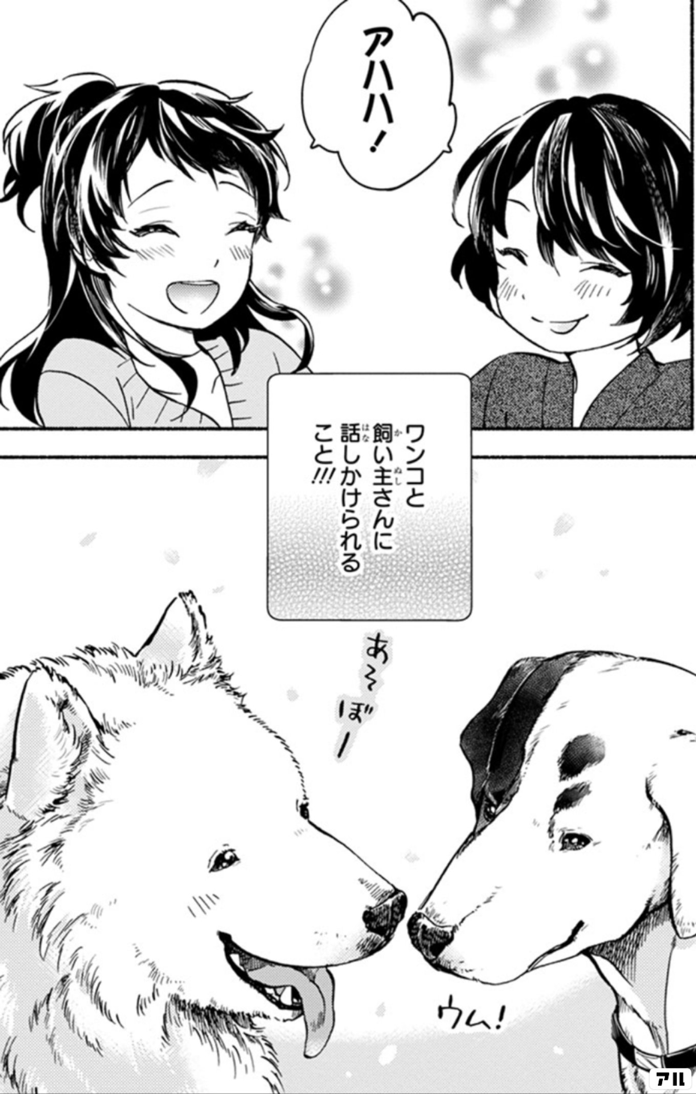 ワンルームワンコ