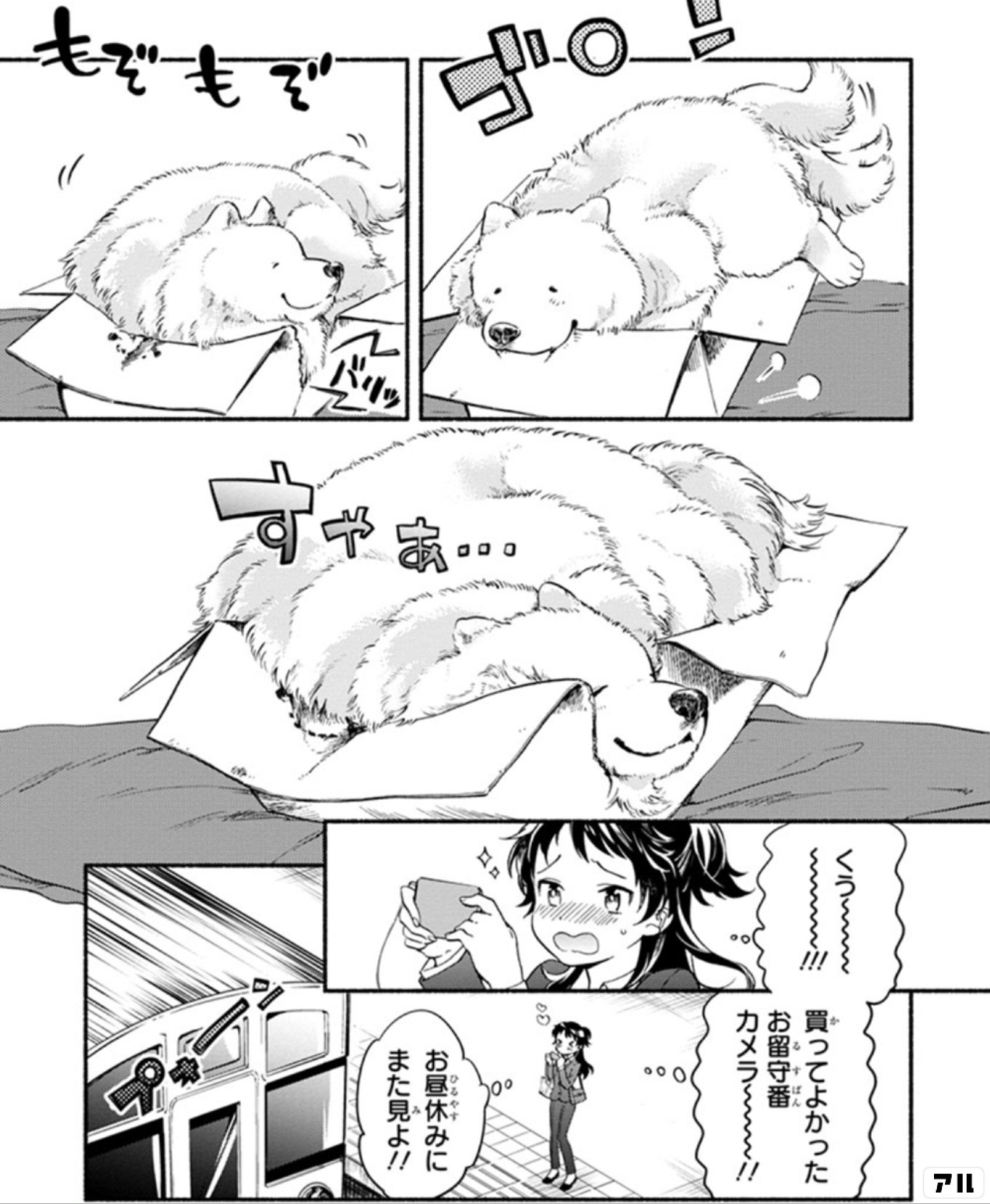 ワンルームワンコ