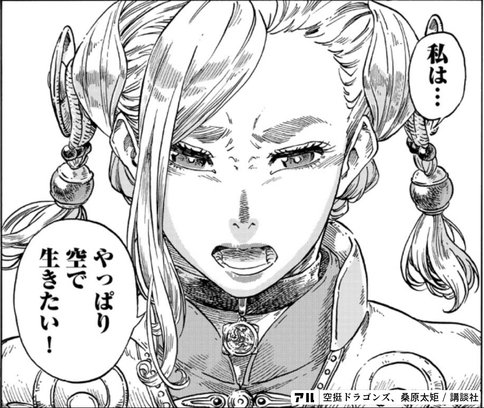 漫画感想文 空挺ドラゴンズ １２ 最新刊 ヴァニー編ついに決着 こも 零細企業営業 2月読書数107冊 Note