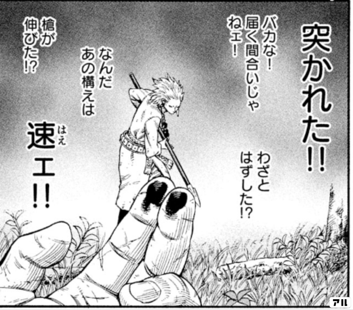 確認画面　ここで頂いた籠に　庭のカサブランカを。。。至福の時です！ 確認画面 ここで頂いた籠に 庭のカサブランカを。。。至福の時です！