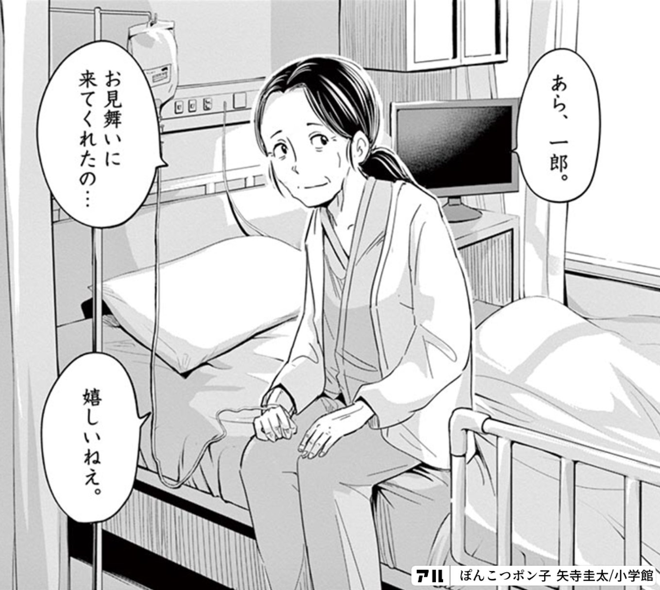 ぽんこつポン子