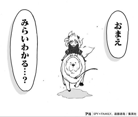 大人気spy Family 今後打ち切りになるかを検証してみた さかこじぶろぐ