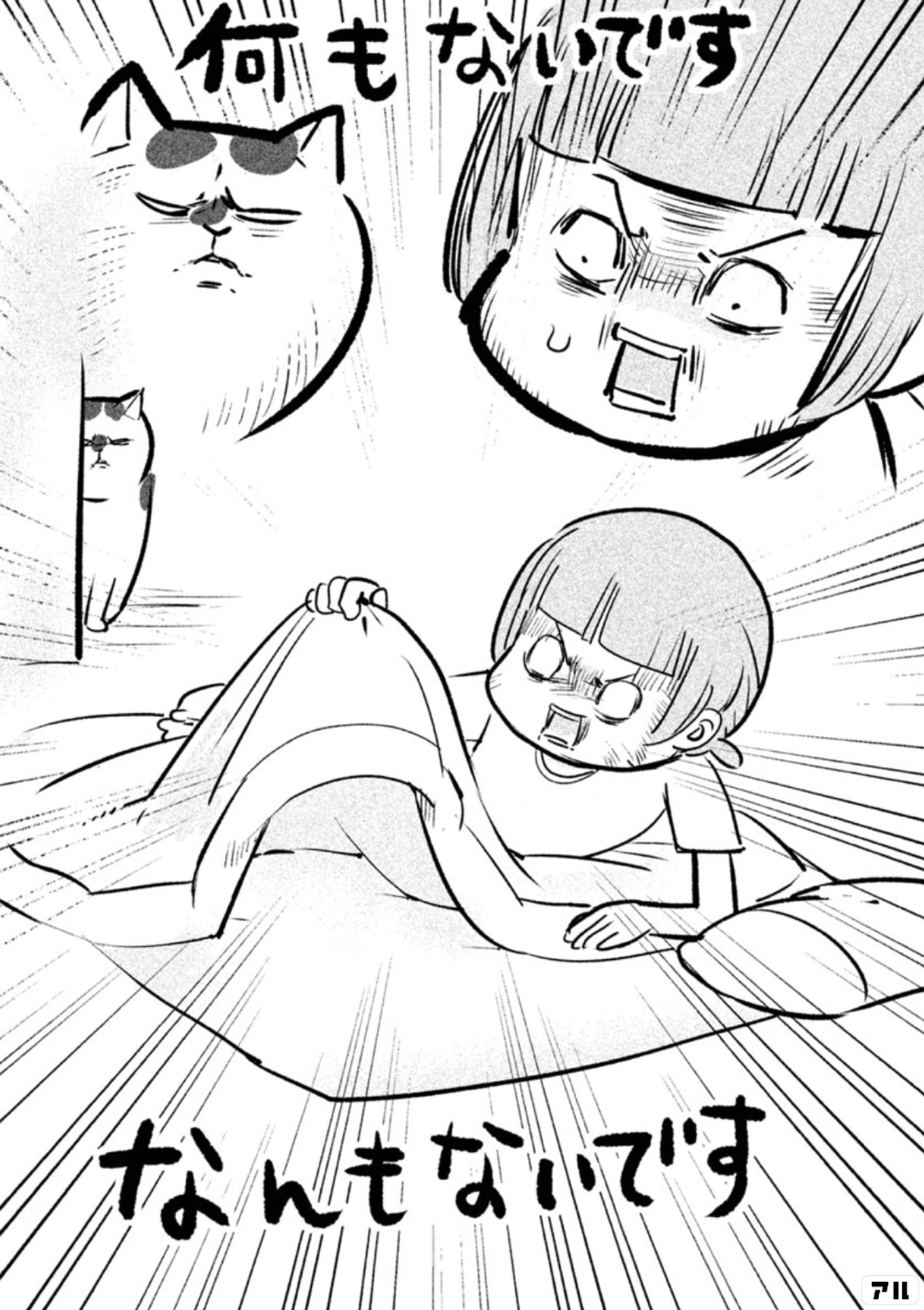 犬と猫どっちも飼ってると毎日たのしい