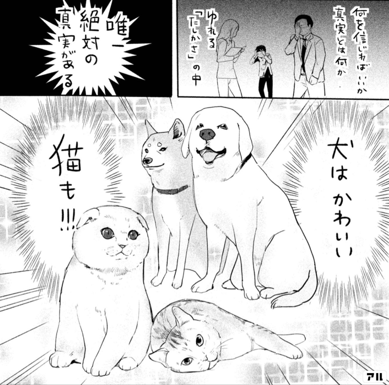 犬と猫どっちも飼ってると毎日たのしい