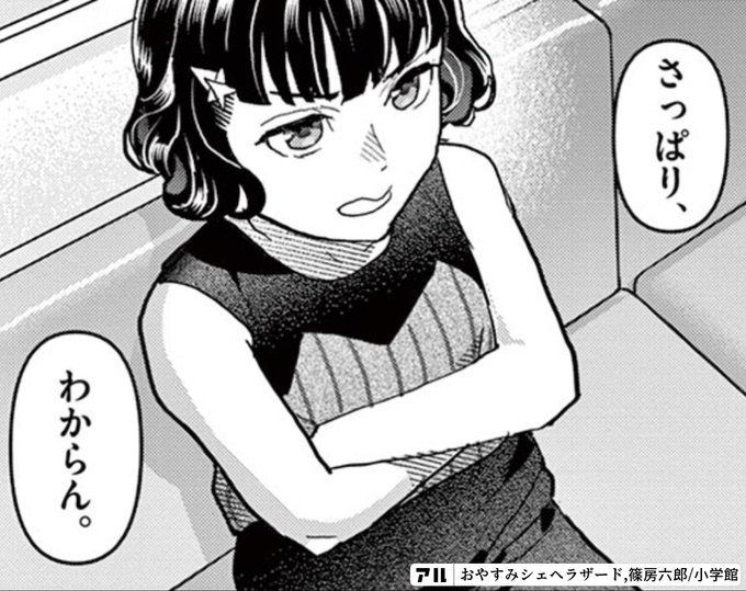 さっぱり わからん おやすみシェヘラザード