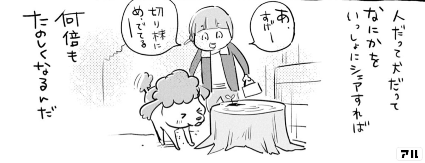 犬と猫どっちも飼ってると毎日たのしい