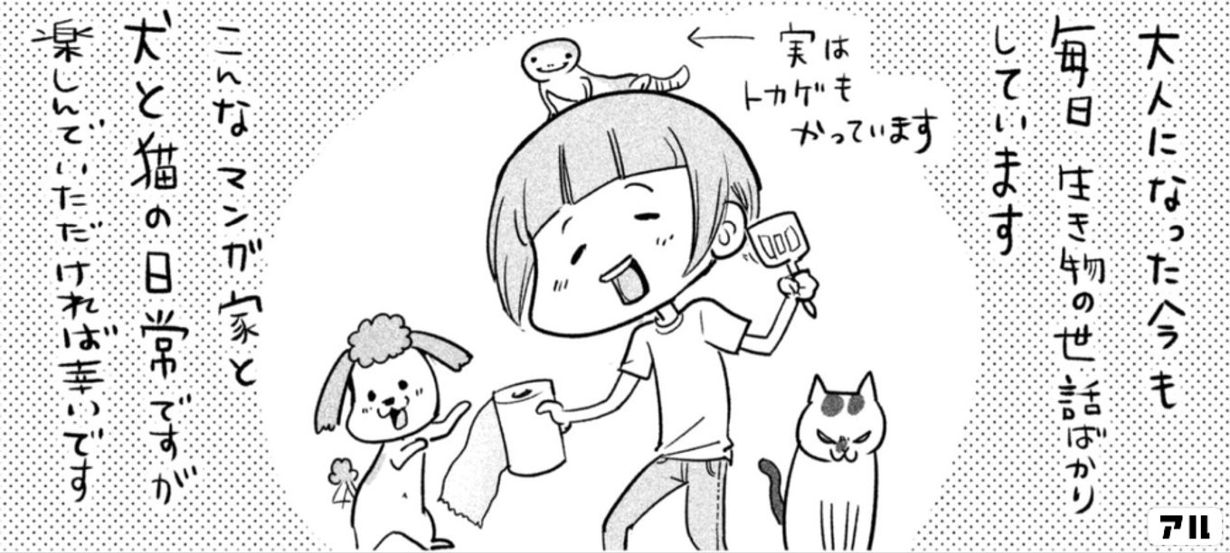 犬と猫どっちも飼ってると毎日たのしい