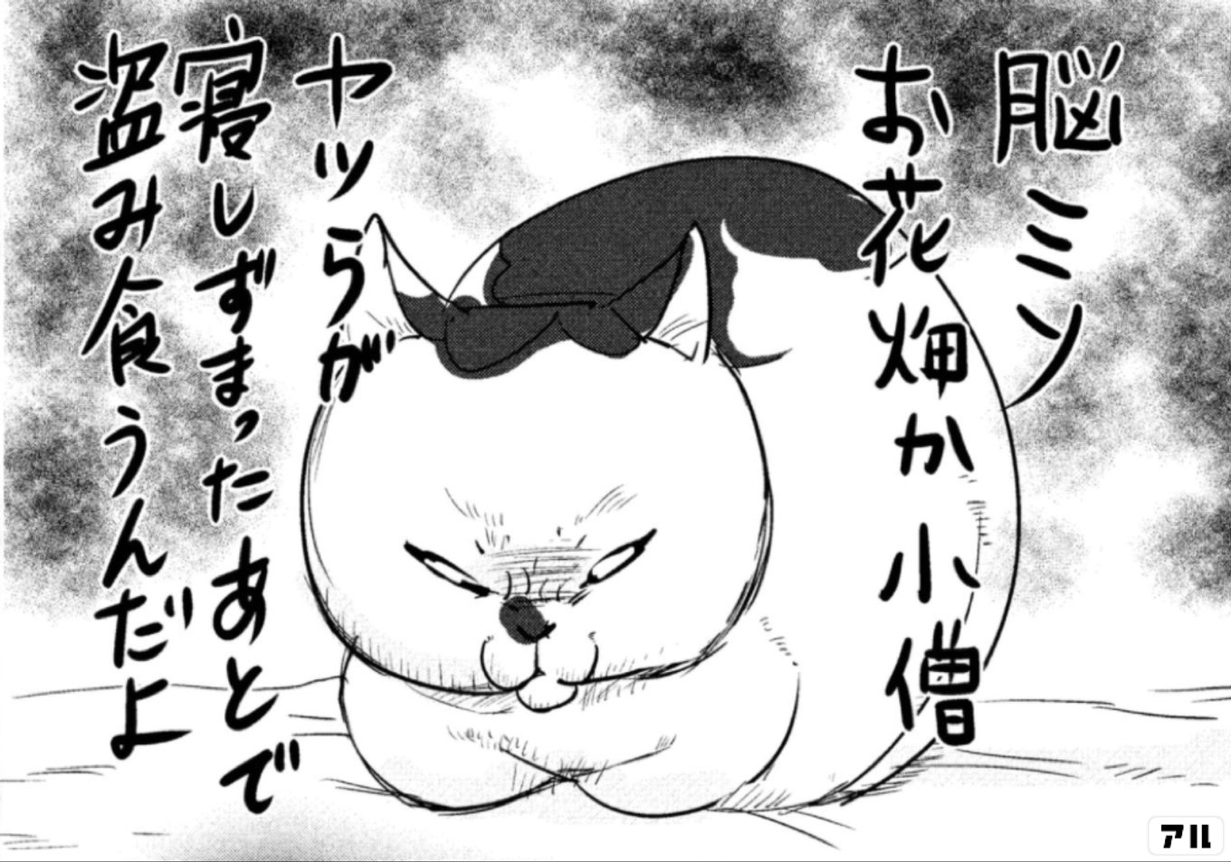 犬と猫どっちも飼ってると毎日たのしい