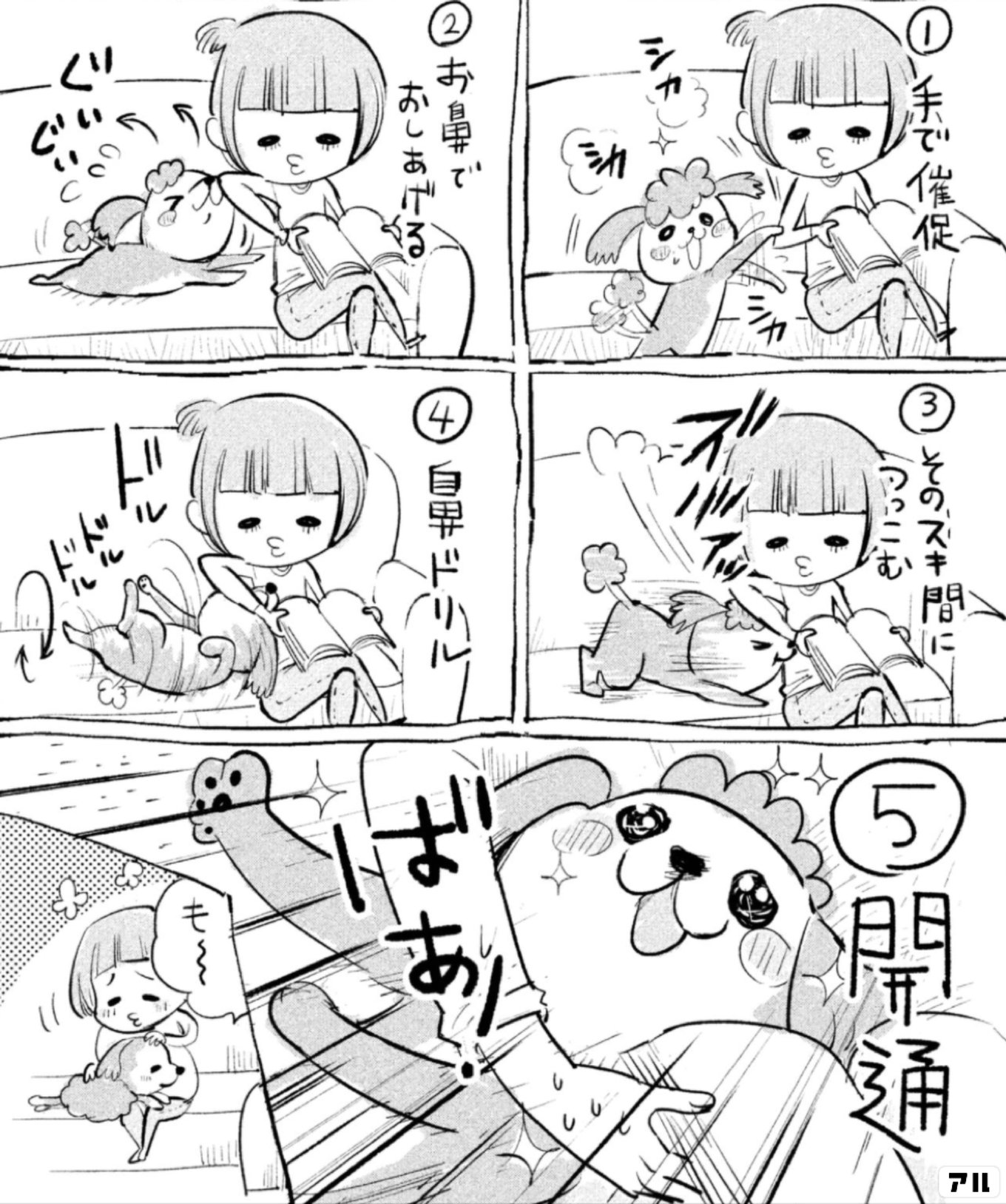 犬と猫どっちも飼ってると毎日たのしい