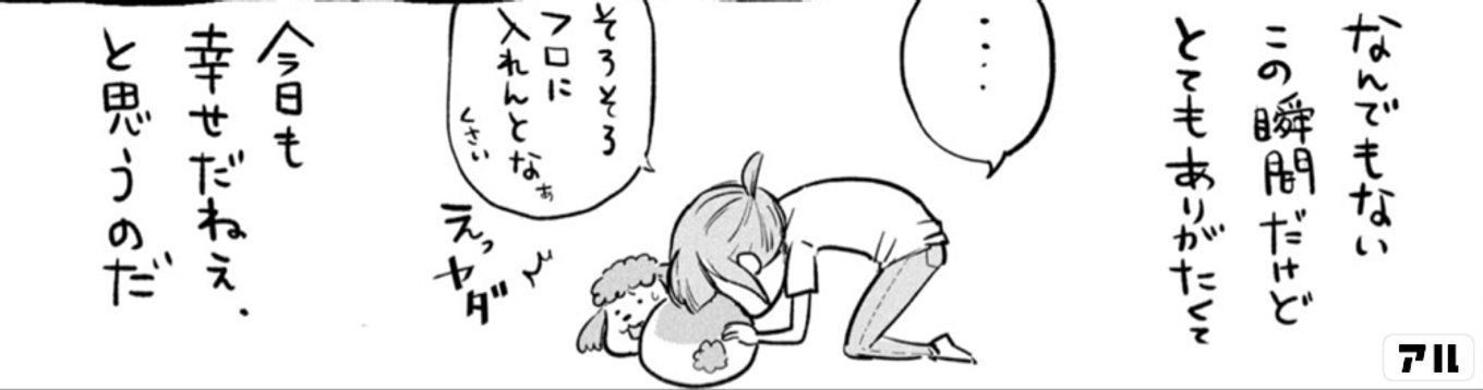 犬と猫どっちも飼ってると毎日たのしい