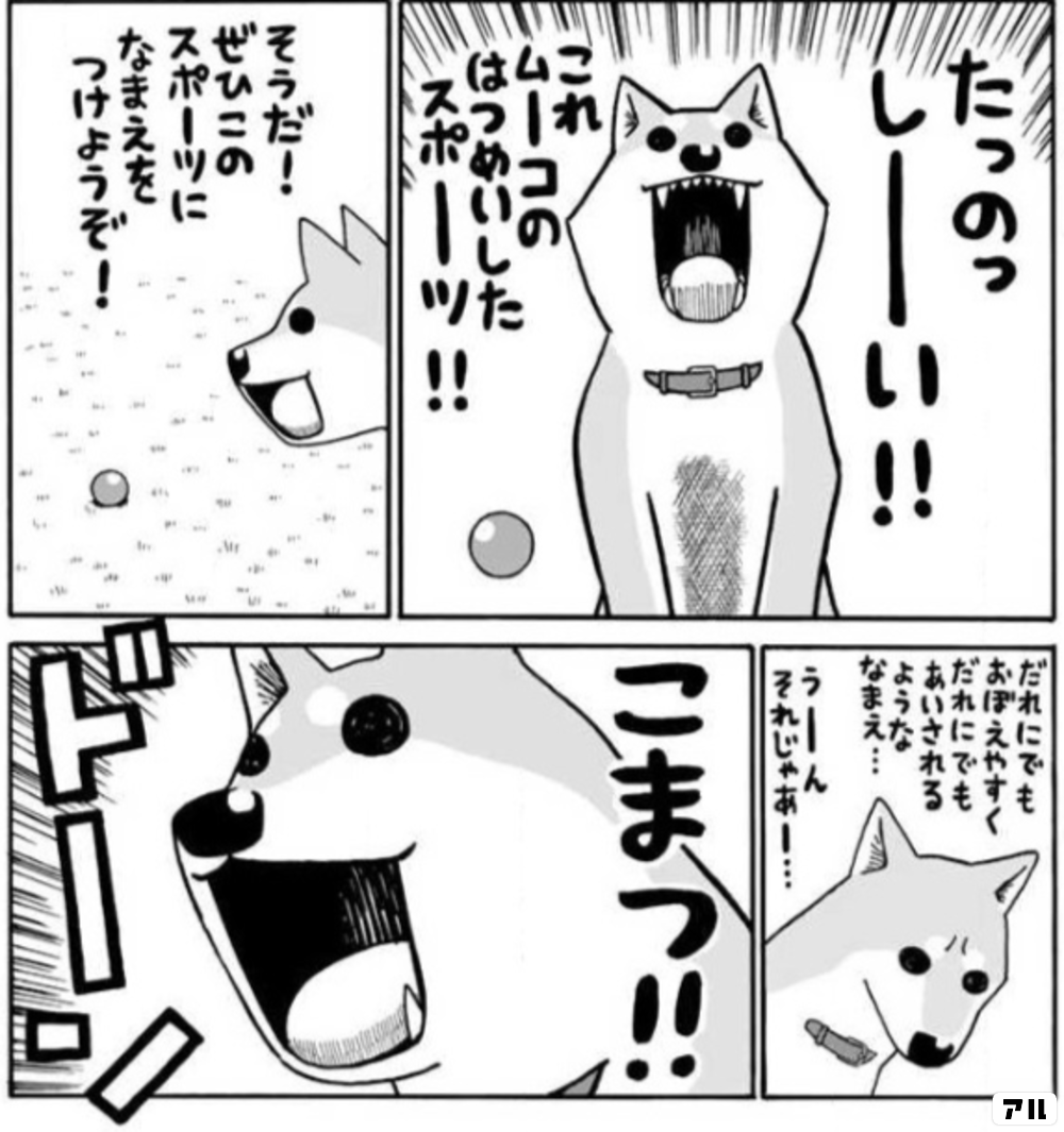 ムーコ うしこうさん撮影の姿 いとしのムーコ アル