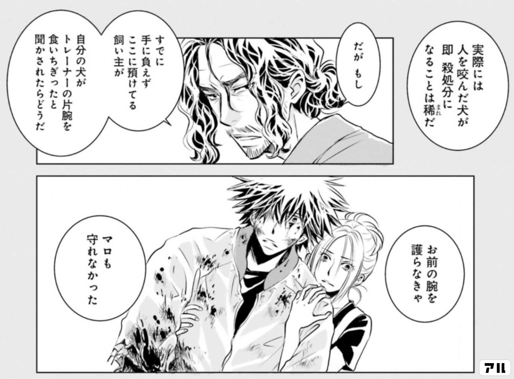 実際には 人を咬んだ犬が 即殺処分になることは稀だ だがもし すでに手に負えずここに預けている飼い主が 自分の犬のトレーナーの片腕を食いちぎったと聞かされたらどうだ お前の腕を譲らなきゃ マロも守れなかった Dog Signal アル