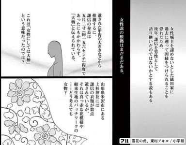 雪花の虎の作品概要 掲載誌 受賞歴 登場人物紹介から あらすじ 作品の魅力 名言 作者情報など アル