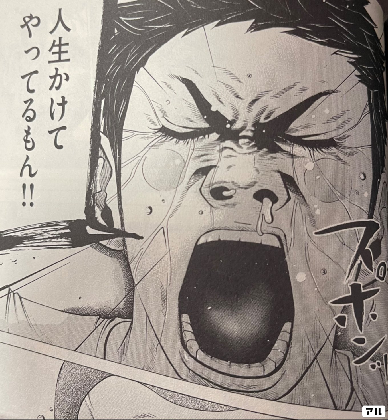 バトルスタディーズ