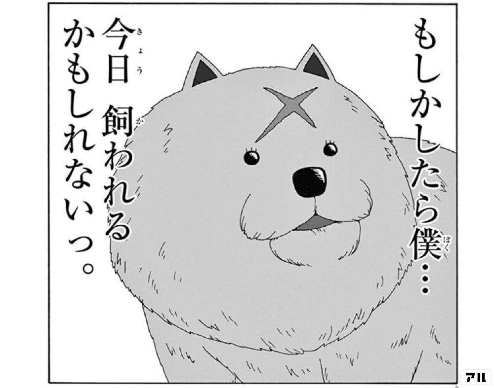 田島シュウの日めくり漫言