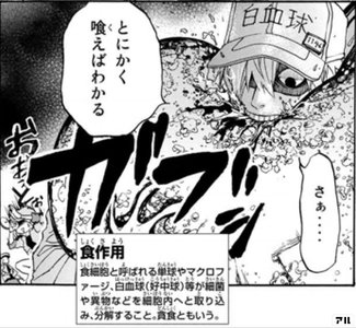 はたらく細胞BLACK 全巻セット マンガで分かる心療内科 丸かっ