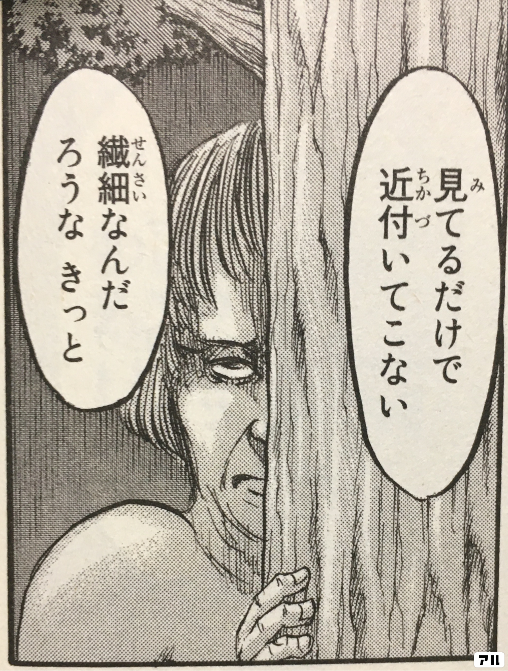 見 ミ てるだけで近付 チカヅ いてこない 繊細 センサイ なんだろうな きっと 進撃の巨人 アル