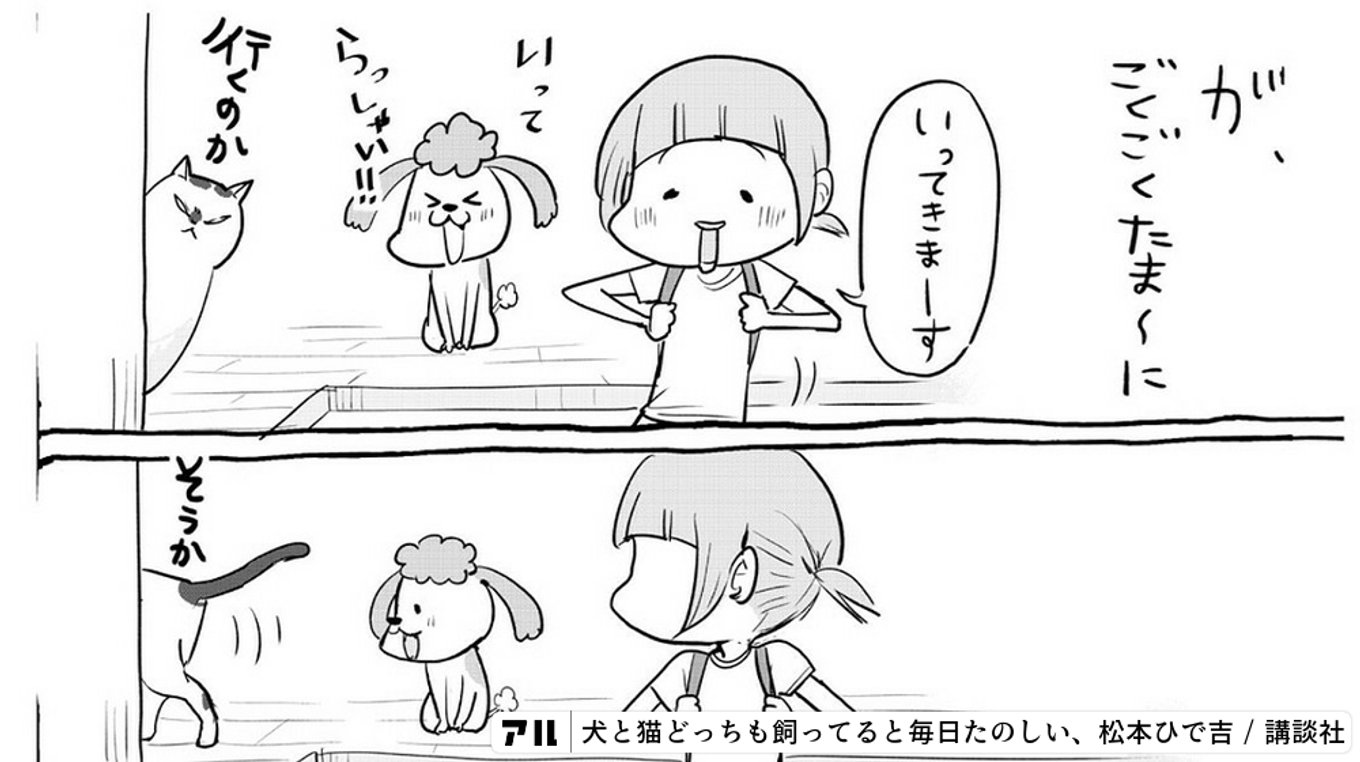 犬と猫どっちも飼ってると毎日たのしい