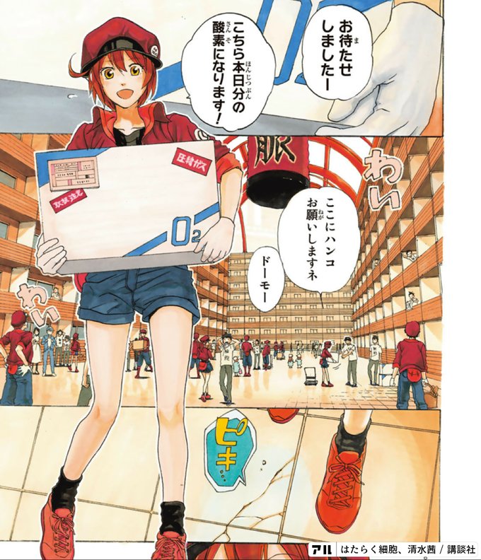 こちら本日分の酸素になります はたらく細胞 アル